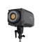310W Coolcam 300D Luz de relleno alto brillo para fotografía y video corto